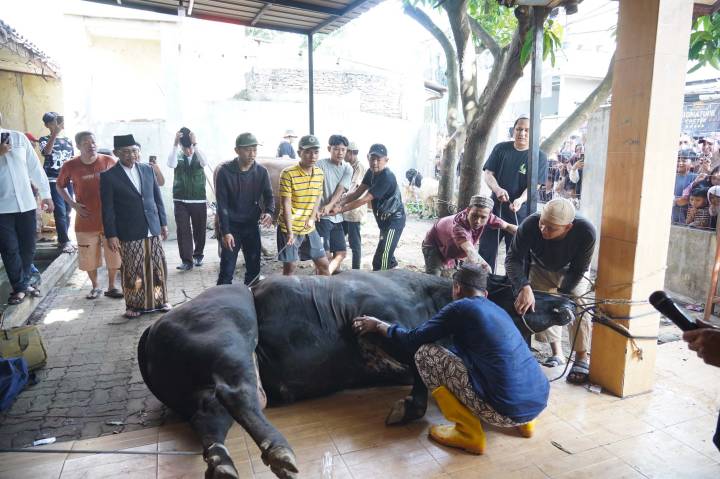 foto dok. diskominfo kota tng