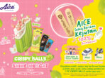 foto dok. aice